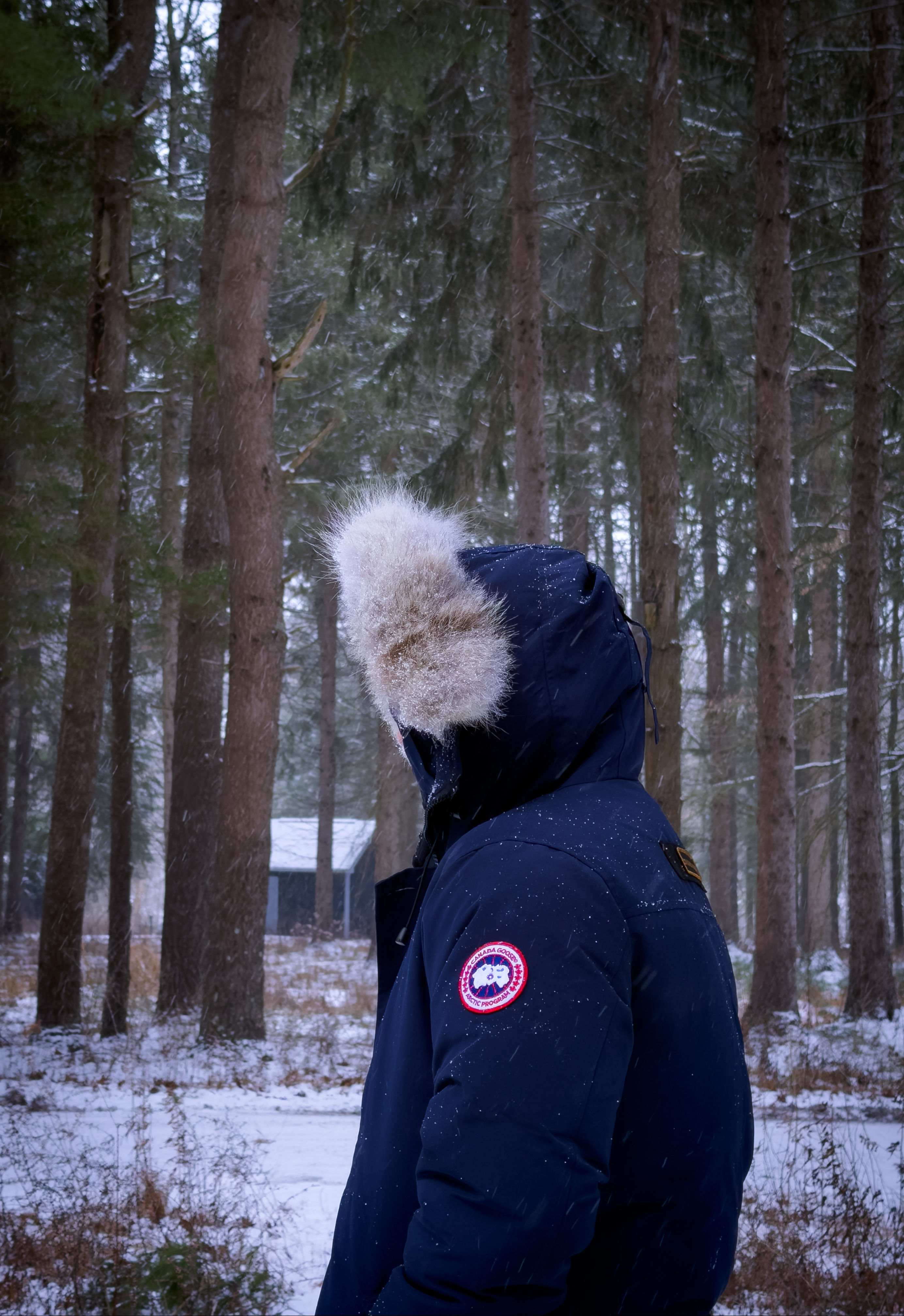 Winter portrait in forest