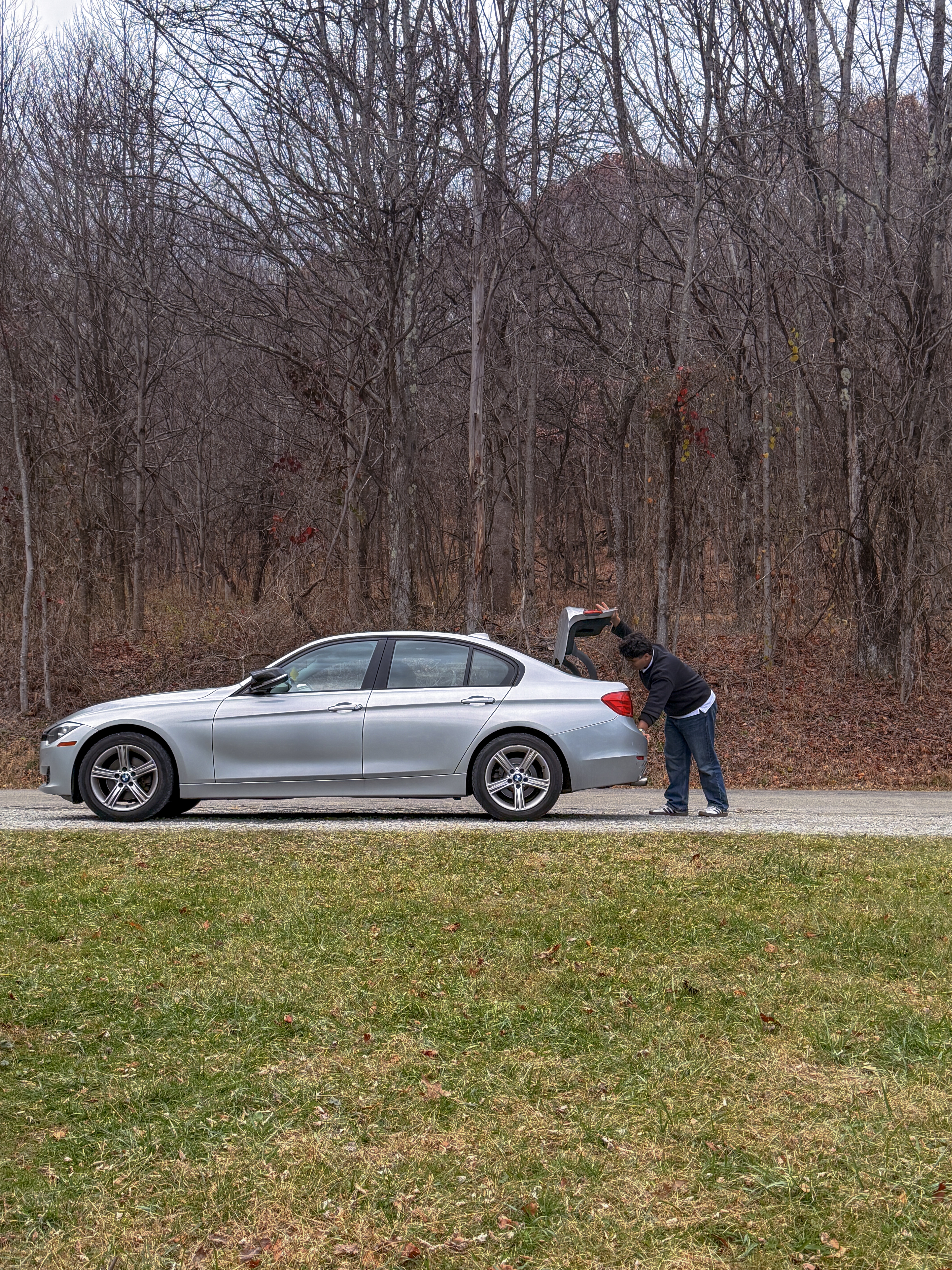 Car on forest road