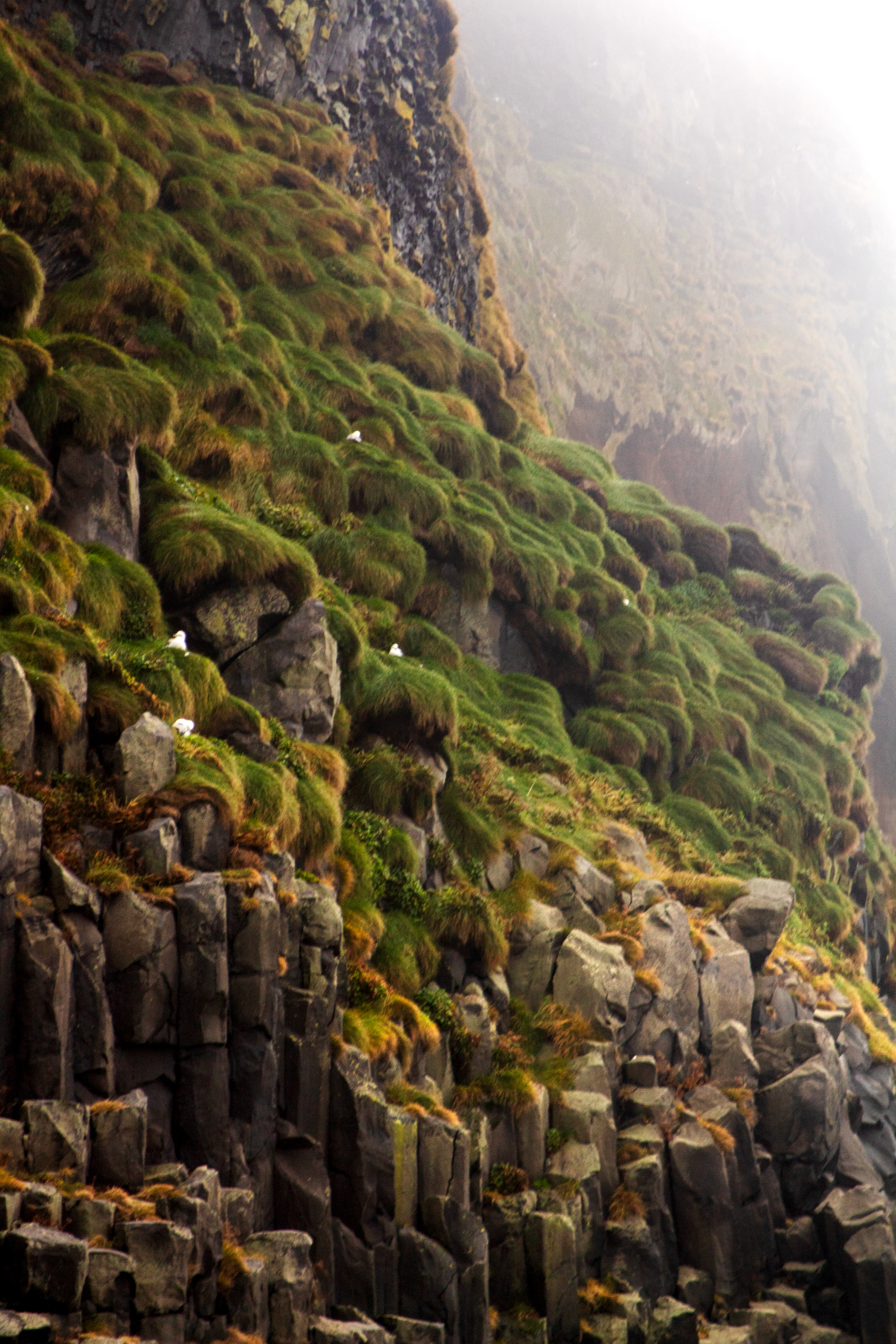 Mossy cliffside