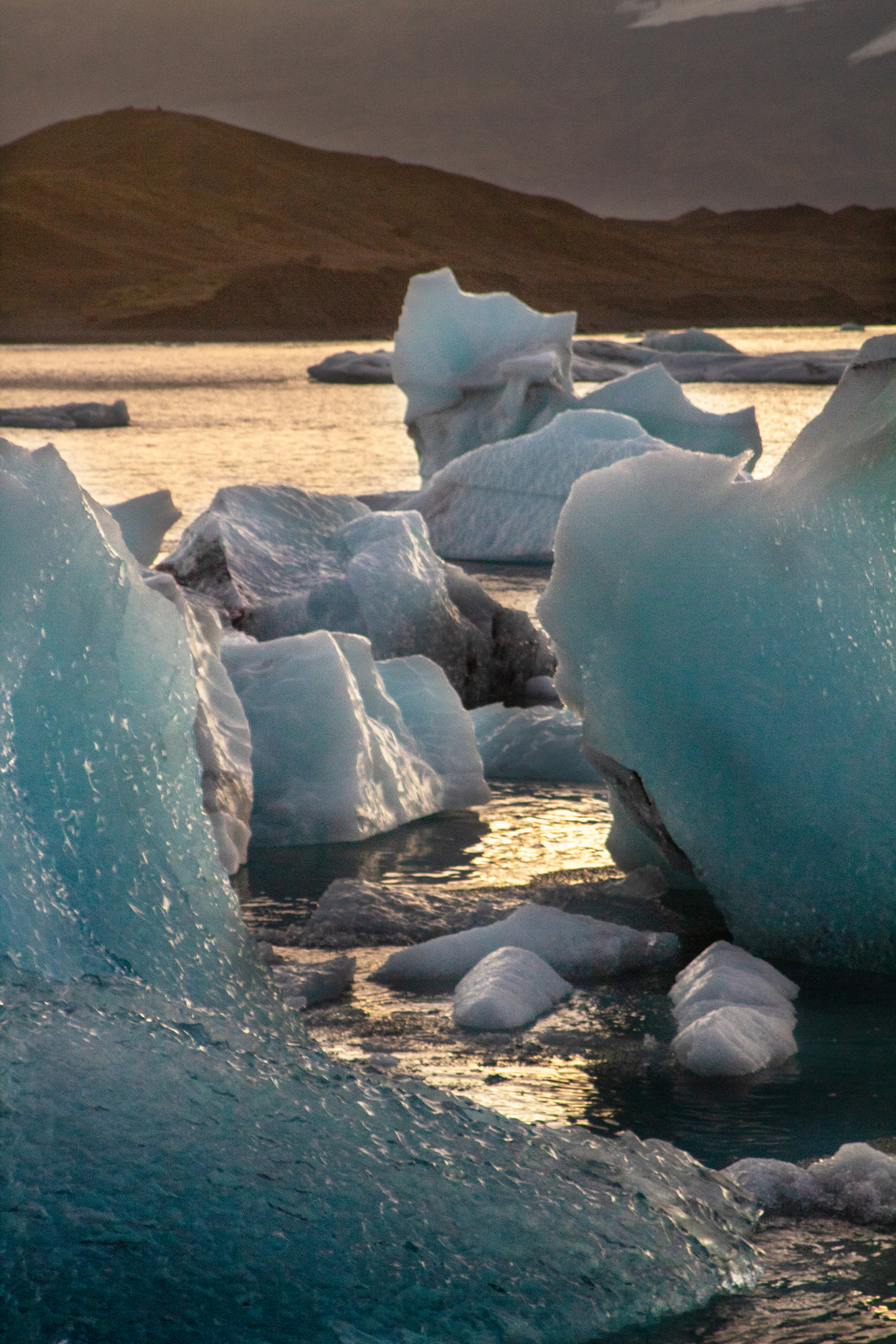 Icebergs at sunset