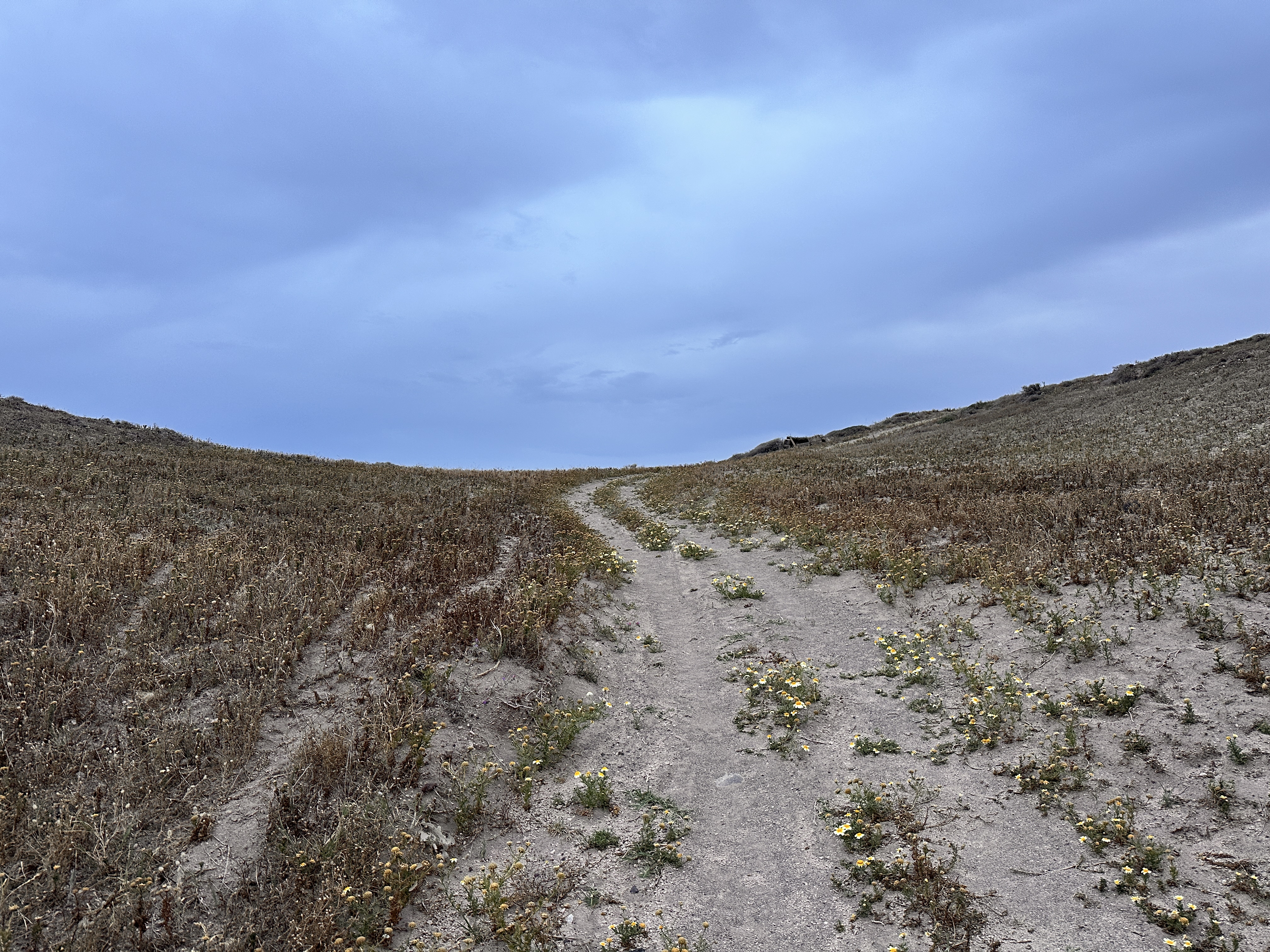 Path through dry fields