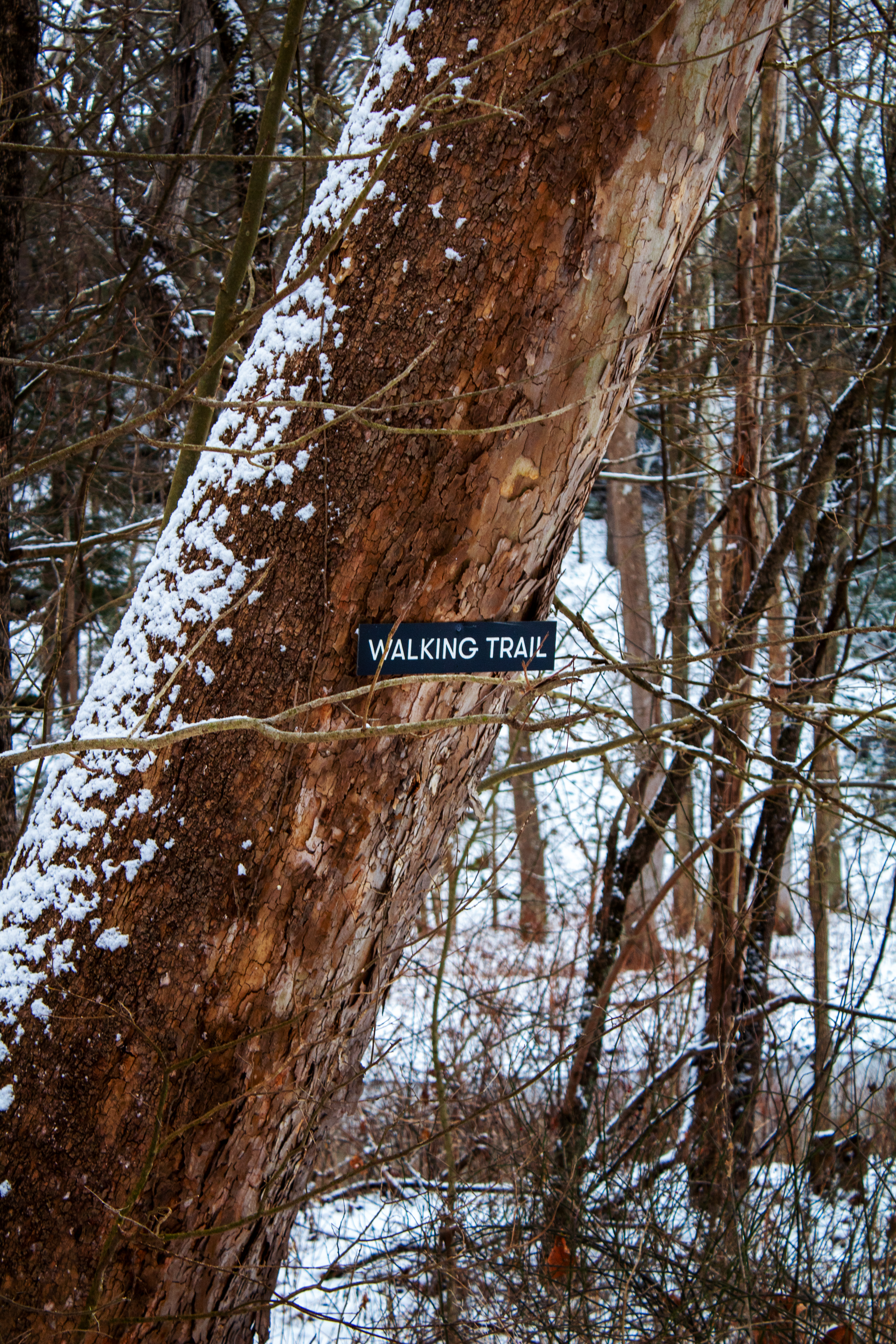 Walking trail sign