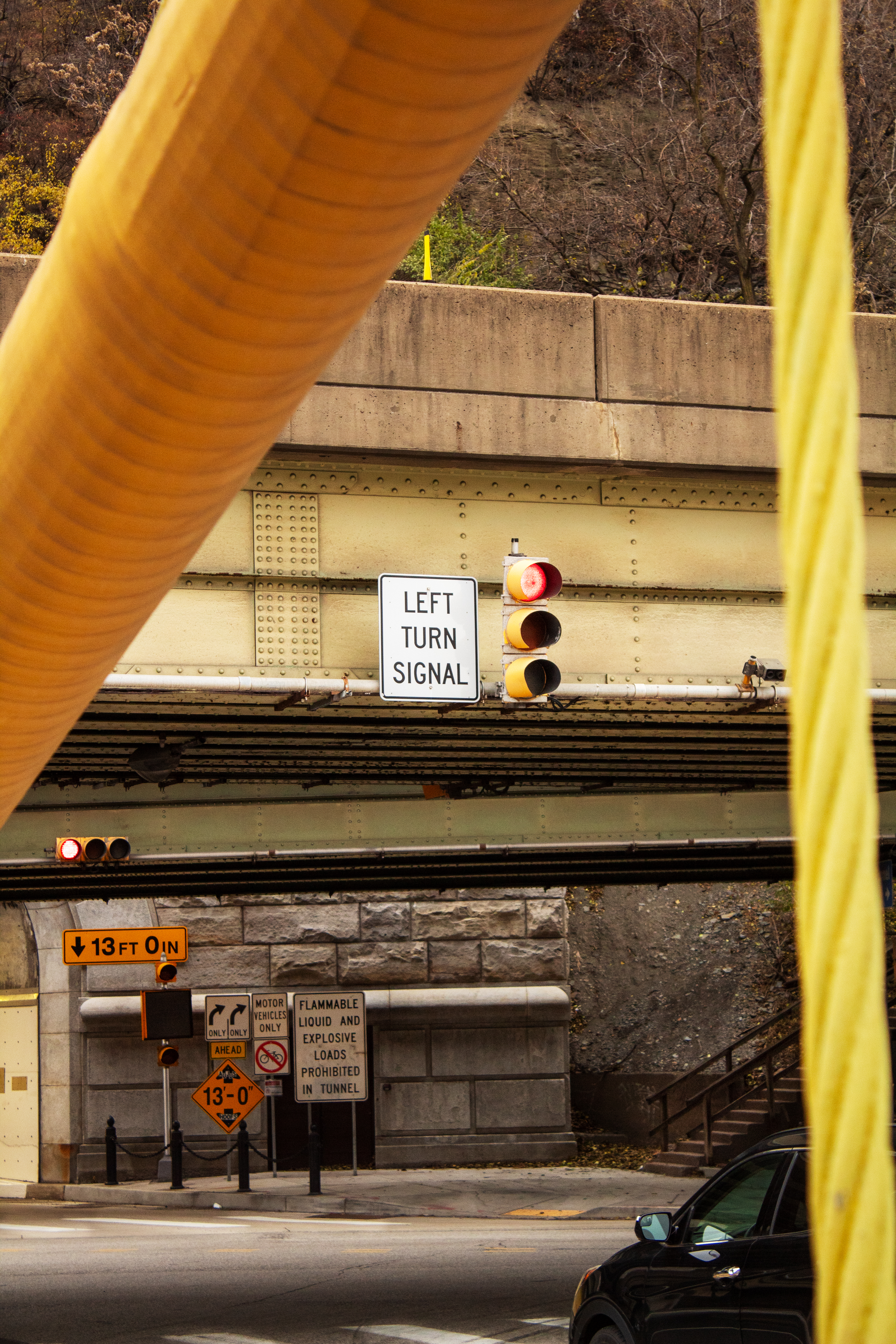 Left turn signal